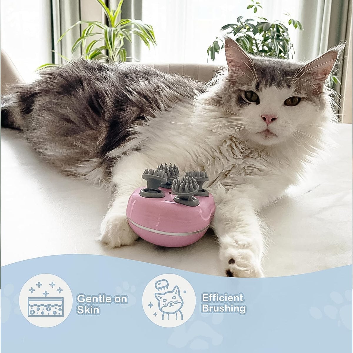 Smart Electric Scalp Massager For Human And Pets